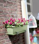 barcelona trough saucer 70cm pistache green